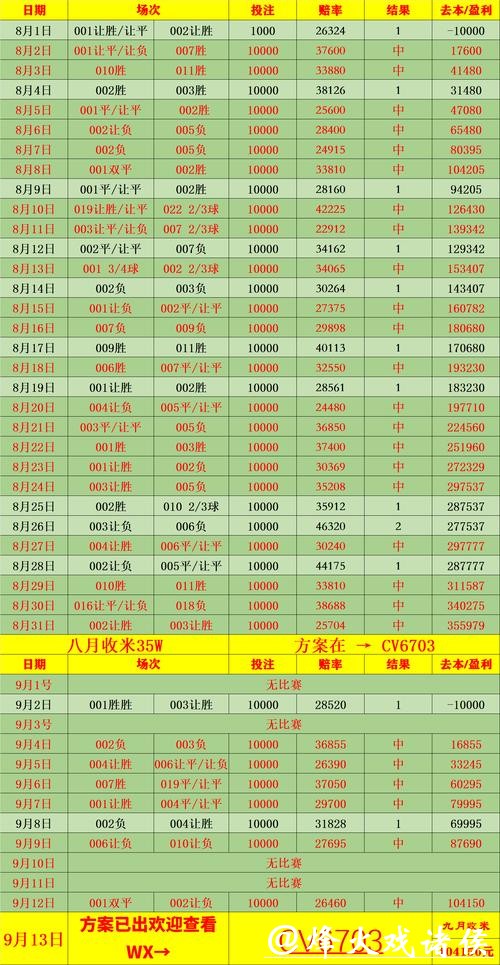 2026世界杯投注资金分配与收益心得 2026世界杯投注资金分配与收益心得